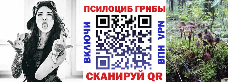 Галлюциногенные грибы прущие грибы  Талдом 