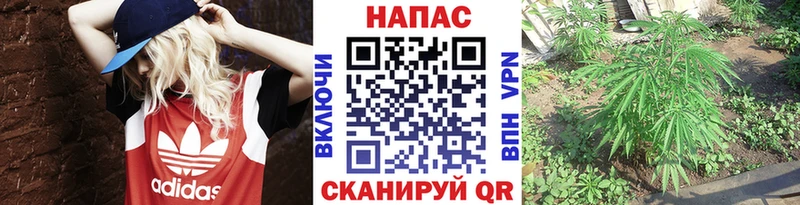 ОМГ ОМГ рабочий сайт  купить закладку  Талдом  Бошки Шишки Ganja 
